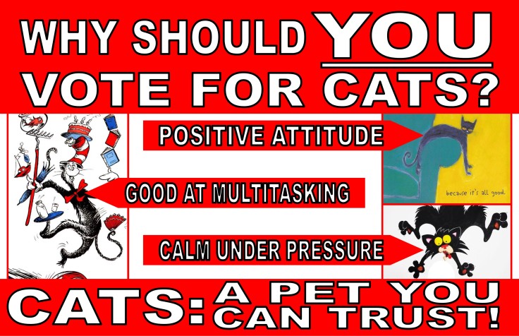 Vote for Cats Poster